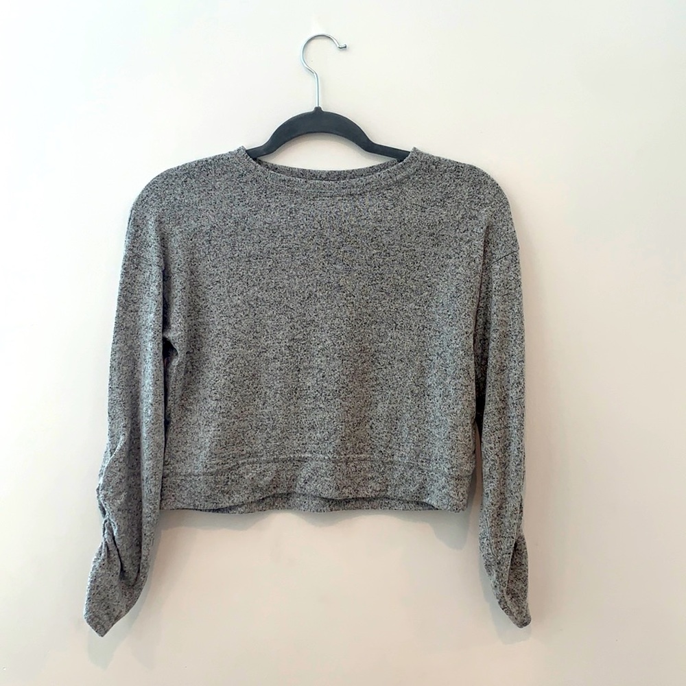 A grey cropped long sleeve.